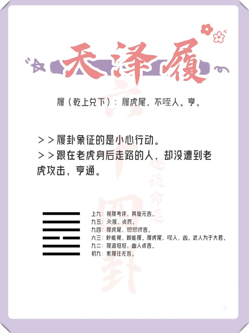 健康咨询：连接知识与健康的桥梁