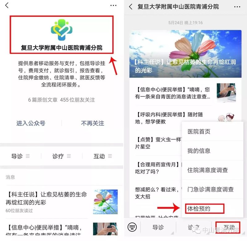 中医体质调理——寻找最适合你的养生之道